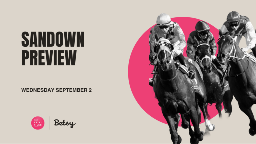The Trial Files Sandown Preview: Debutants set to dominate