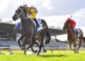 Blind Raise far from his peak ahead of Guineas Prelude