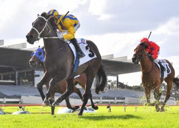 Blind Raise far from his peak ahead of Guineas Prelude
