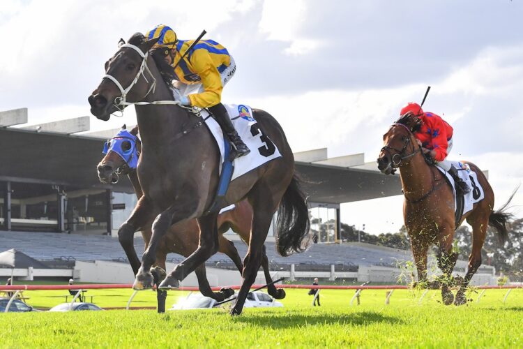 Blind Raise (NZ) ridden by Blake Shinn wins the McMahon's Dairy McKenzie Stakes at Sportsbet Sandown Hillside Racecourse on September 05, 2026 in Springvale, Australia. (Photo by Pat Scala/Racing Photos)