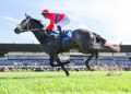 ‘Something else’: Pretty Baby storms into Thousand Guineas picture
