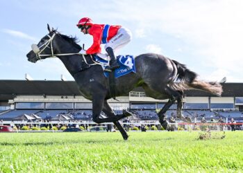‘Something else’: Pretty Baby storms into Thousand Guineas picture