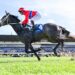 ‘Something else’: Pretty Baby storms into Thousand Guineas picture