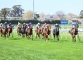 Inside the Caulfield track saga: Independent report ordered into ‘plug hole’ chaos