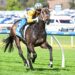 ‘Game on’: Blind Raise explodes into Caulfield Guineas picture