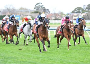 Beaten jockeys: Group 1 Underwood Stakes