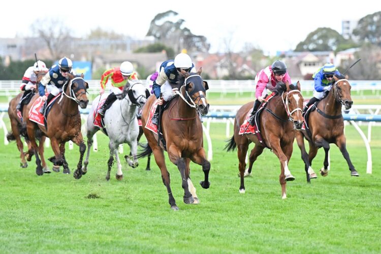 Birdman (IRE) ridden by Ben Melham wins the Henley Homes Underwood Stakes at Caulfield Racecourse on September 19, 2026 in Caulfield, Australia. (Photo by Pat Scala/Racing Photos)