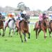 Beaten jockeys: Group 1 Underwood Stakes