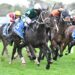 Beaten jockeys: Group 1 Sir Rupert Clarke Stakes