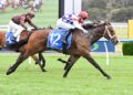 Dry-track mission has Stokes confident Obucci can strike