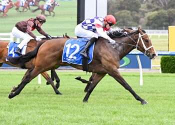 Dry-track mission has Stokes confident Obucci can strike