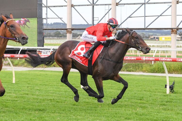 Profligate ridden by Jordan Childs wins the Ladbrokes Hosted Pots Maiden Plate at Sportsbet Pakenham on April 02, 2026 in Pakenham, Australia. (Photo by Brett Holburt/Racing Photos)