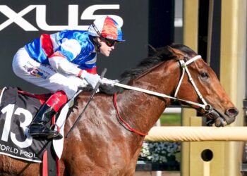 Losesomewinmore dominates Flemington straight as Warrnambool flyer fails to fire