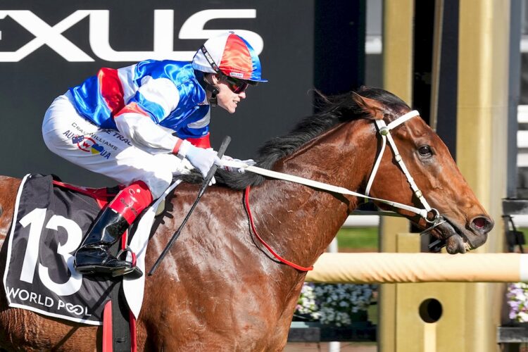 Losesomewinmore ridden by Craig Williams wins the HKJC World Pool Bobbie Lewis Quality at Flemington Racecourse on September 12, 2026 in Flemington, Australia. (Photo by Brett Holburt/Racing Photos)