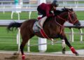 The scary thing about racing’s champions? Forever Young, Ka Ying Rising and Autumn Glow are just warming up