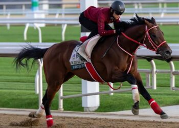 The scary thing about racing’s champions? Forever Young, Ka Ying Rising and Autumn Glow are just warming up