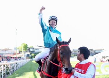 Global superstar Romantic Warrior retired