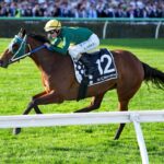 Flemington Wrap: Sheza Alibi’s world, Cup dreams and Coolmore clues