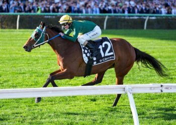Flemington Wrap: Sheza Alibi’s world, Cup dreams and Coolmore clues
