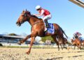 Lake unlocks Tennessee Spirit’s speed ahead of Adelaide raid