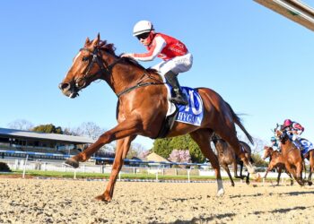 Lake unlocks Tennessee Spirit’s speed ahead of Adelaide raid