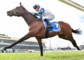 Maher colt enters Derby calculations