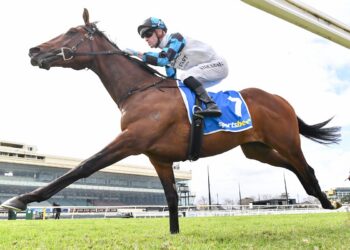 Maher colt enters Derby calculations