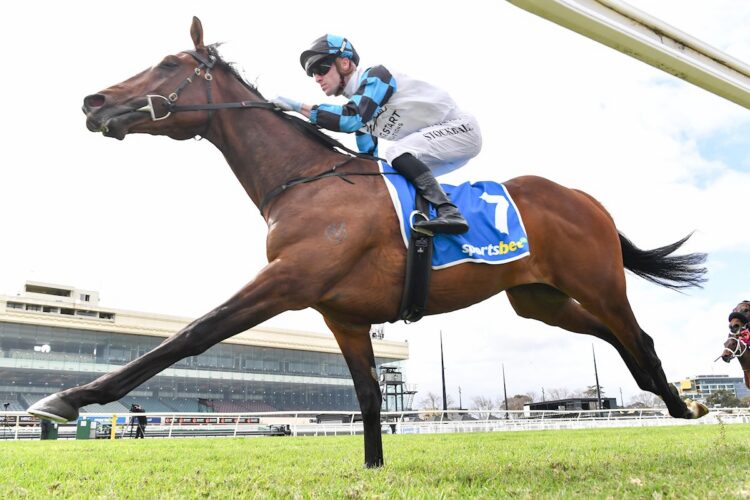 Scarole ridden by Thomas Stockdale wins the Sportsbet BlackBook Plate at Caulfield Heath Racecourse on September 16, 2026 in Caulfield, Australia. (Photo by Pat Scala/Racing Photos)