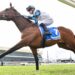 Maher colt enters Derby calculations
