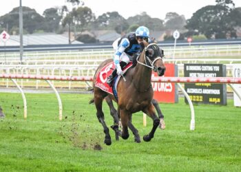 Winning pair get chance to earn their place on Derby path