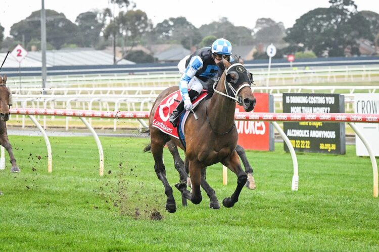 Arashi Flash ridden by Lachlan Neindorf wins the Neon Legal Maiden Plate at Geelong Racecourse on August 28, 2026 in Geelong, Australia. (Reg Ryan/Racing Photos)