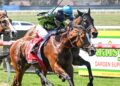 ‘Good motor’: Williams impressed by exciting Geelong debut winner