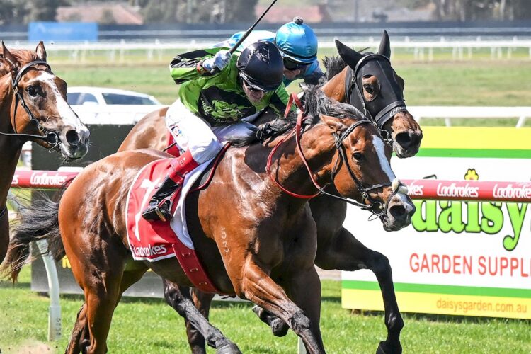 Avery Anna ridden by Craig Williams wins the Ladbrokes Popular SRM Maiden Plate at Geelong Racecourse on September 23, 2026 in Geelong, Australia. (Reg Ryan/Racing Photos)