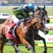 ‘Good motor’: Williams impressed by exciting Geelong debut winner
