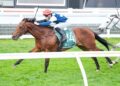 Maher lands perfect Cup result as star pair book tickets