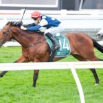 Maher lands perfect Cup result as star pair book tickets