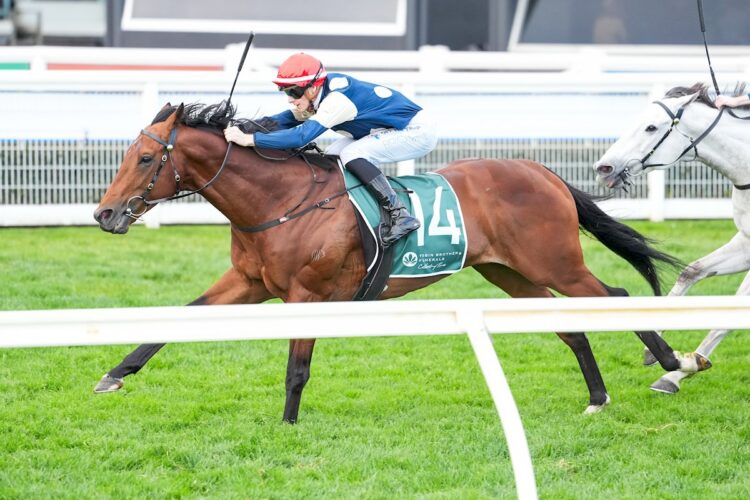 Zahrann (IRE) ridden by Ethan Brown wins the Tobin Brothers Naturalism Stakes at Caulfield Racecourse on September 19, 2026 in Caulfield, Australia. (Photo by Reg Ryan/Racing Photos)