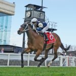 ‘Made to order’: Birdman soars into Cox Plate contention with Underwood demolition