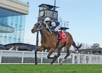 Birdman (IRE) ridden by Ben Melham wins the Henley Homes Underwood Stakes at Caulfield Racecourse on September 19, 2026 in Caulfield, Australia. (Photo by Scott Barbour/Racing Photos)