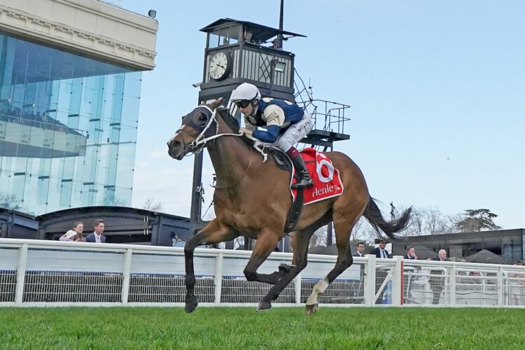 Birdman (IRE) ridden by Ben Melham wins the Henley Homes Underwood Stakes at Caulfield Racecourse on September 19, 2026 in Caulfield, Australia. (Photo by Scott Barbour/Racing Photos)