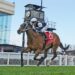 ‘Made to order’: Birdman soars into Cox Plate contention with Underwood demolition